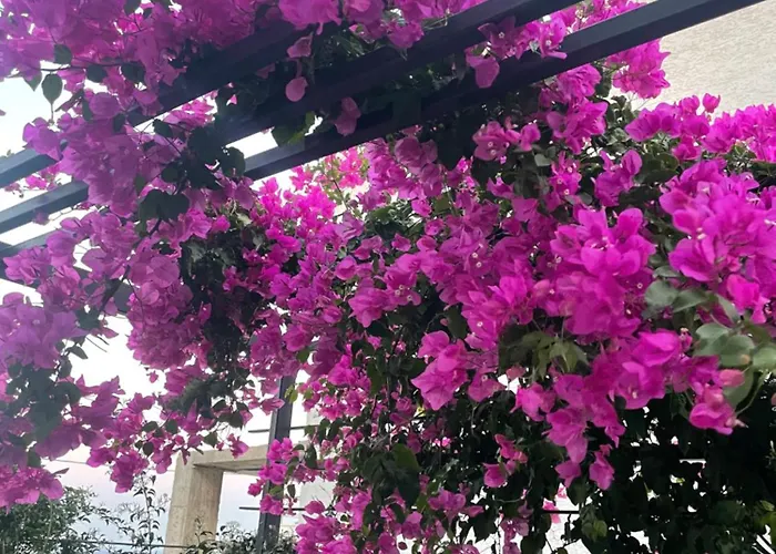 Akyarlarda Havuzlu Lueks Bodrum