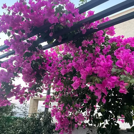 Akyarlarda Havuzlu Lüks Bodrum