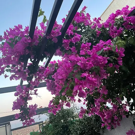 빌라 Akyarlarda Havuzlu Lueks Bodrum