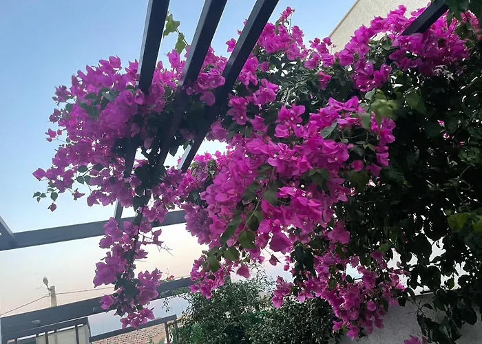 빌라 Akyarlarda Havuzlu Lueks Bodrum